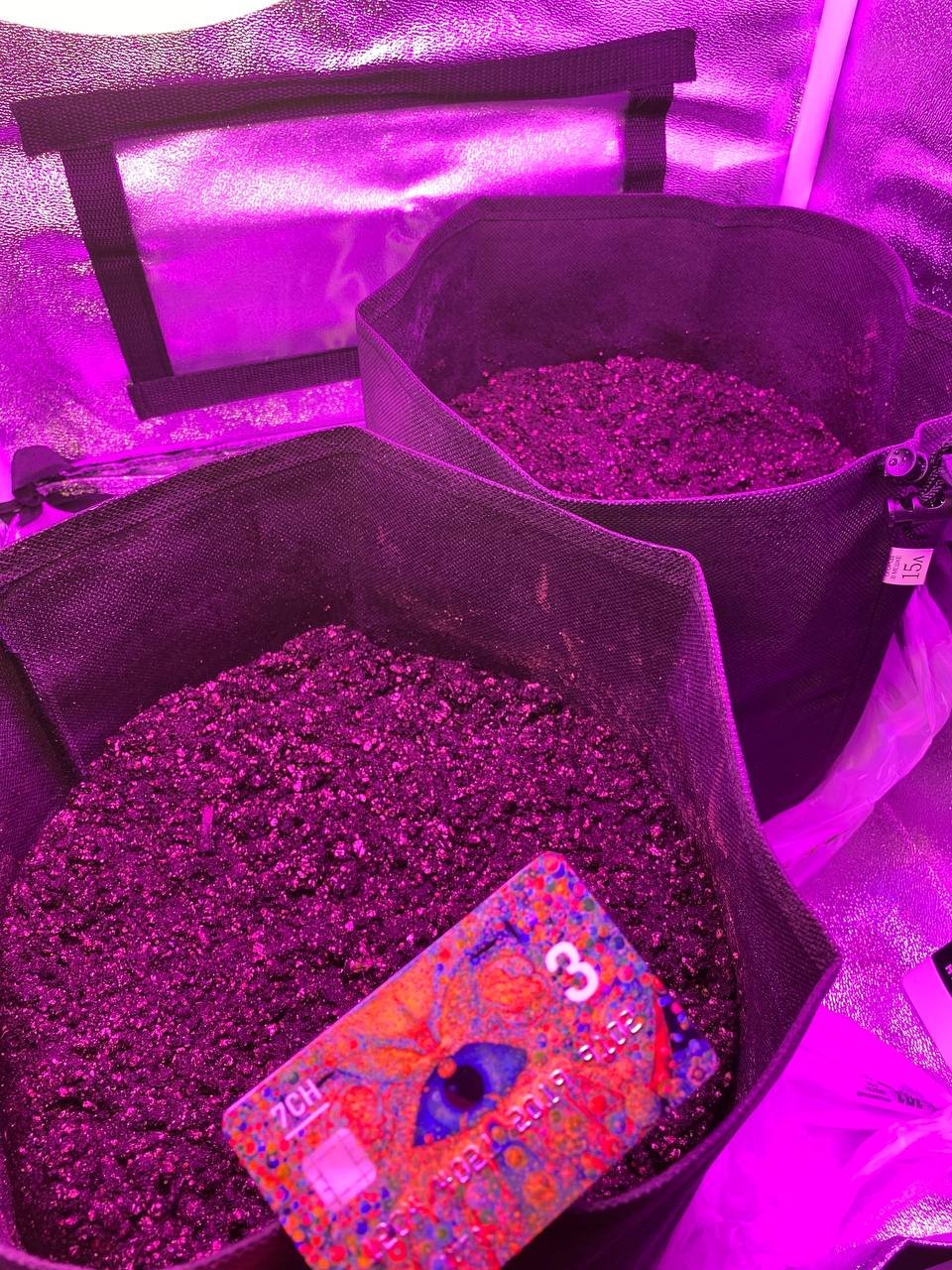 1673892765585.jpeg 1673892765585.jpeg