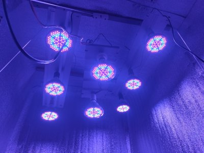 IMG_20230121_120414.jpg IMG_20230121_120414.jpg