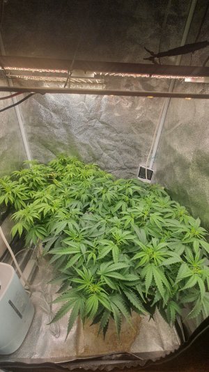 20221019_085622.jpg 20221019_085622.jpg