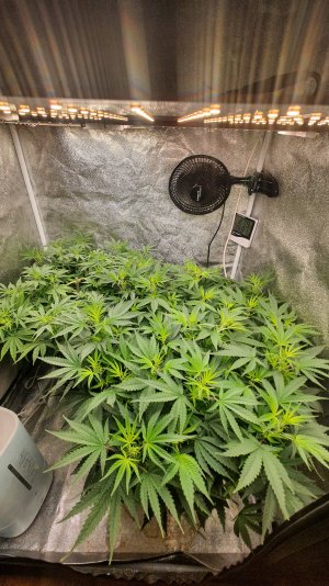 20221023_203319.jpg 20221023_203319.jpg