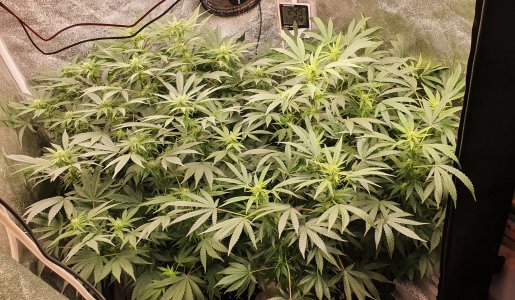 20221107_211611.jpg 20221107_211611.jpg