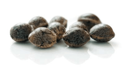 1674672471821.png 1674672471821.png