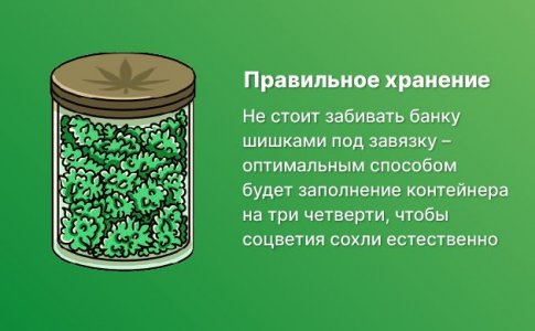 Правильный контейнер