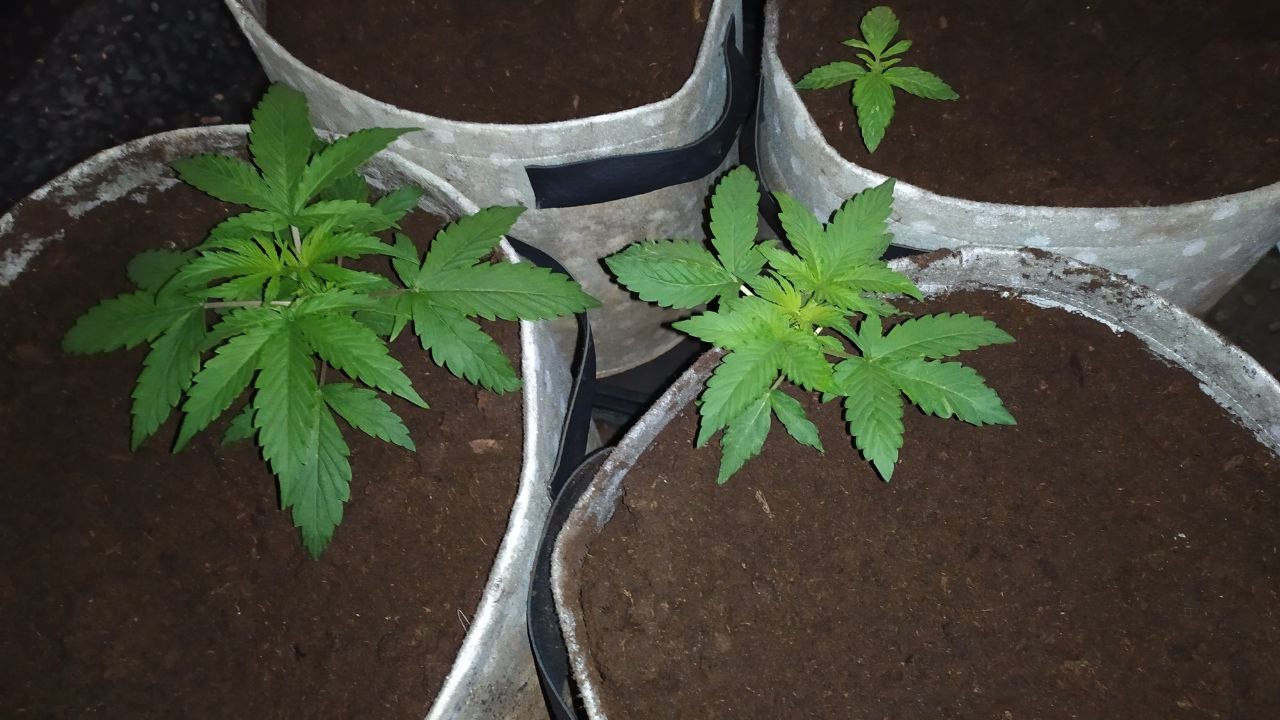 photo_2023-02-08_16-10-58 (2).jpg