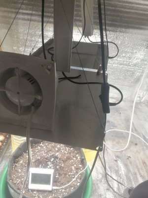 IMG_20230213_135550.jpg IMG_20230213_135550.jpg