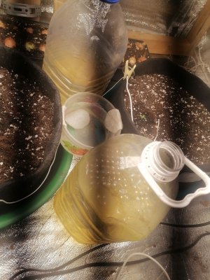 IMG_20230213_135608.jpg IMG_20230213_135608.jpg