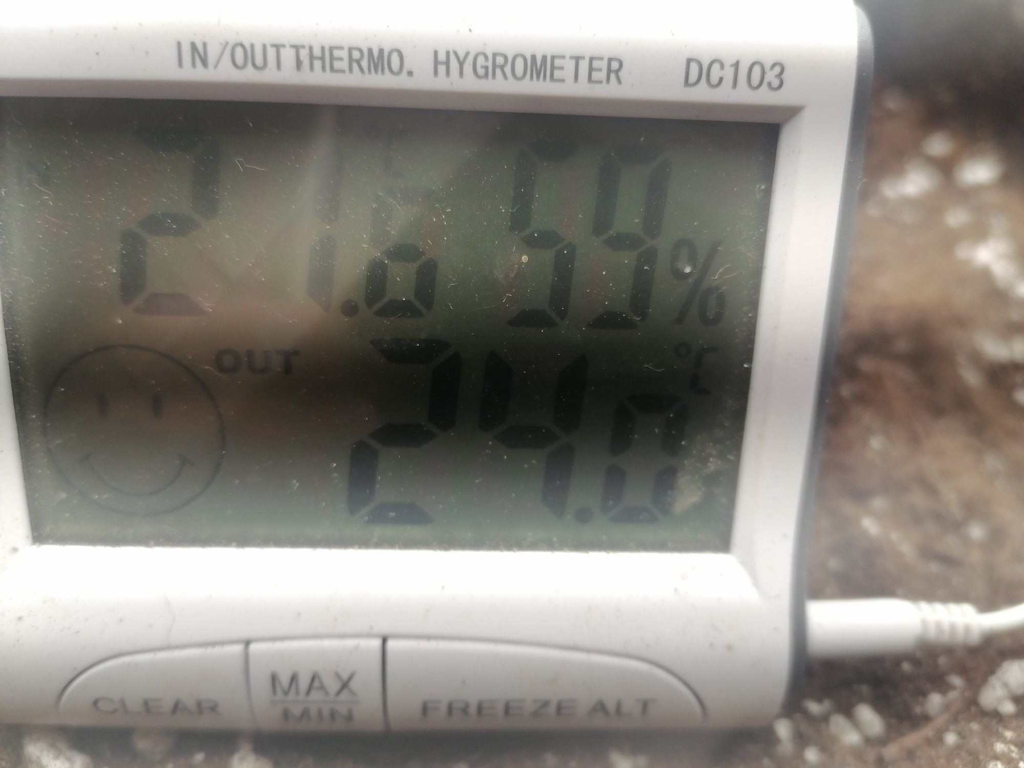 IMG_20230213_135749.jpg IMG_20230213_135749.jpg