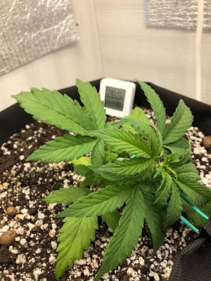 jehbfjvb.jpeg jehbfjvb.jpeg