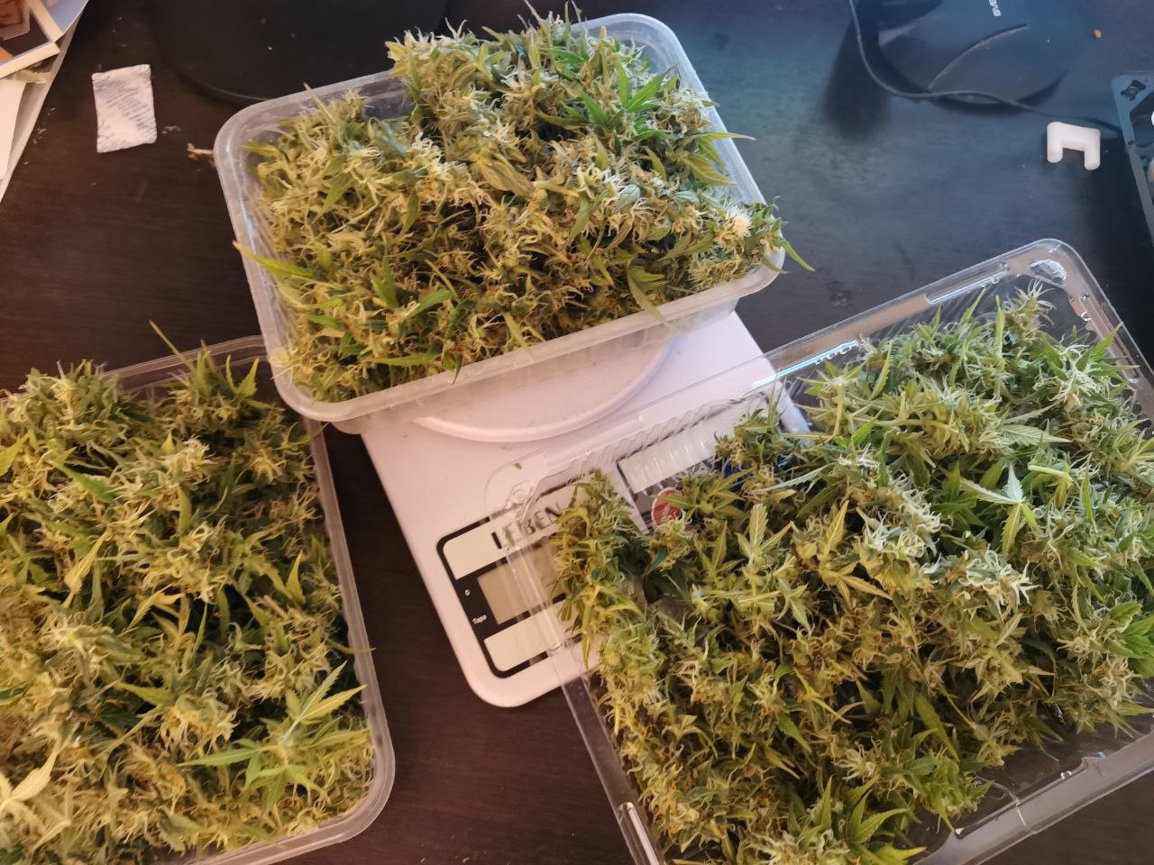 79 — копия.jpg