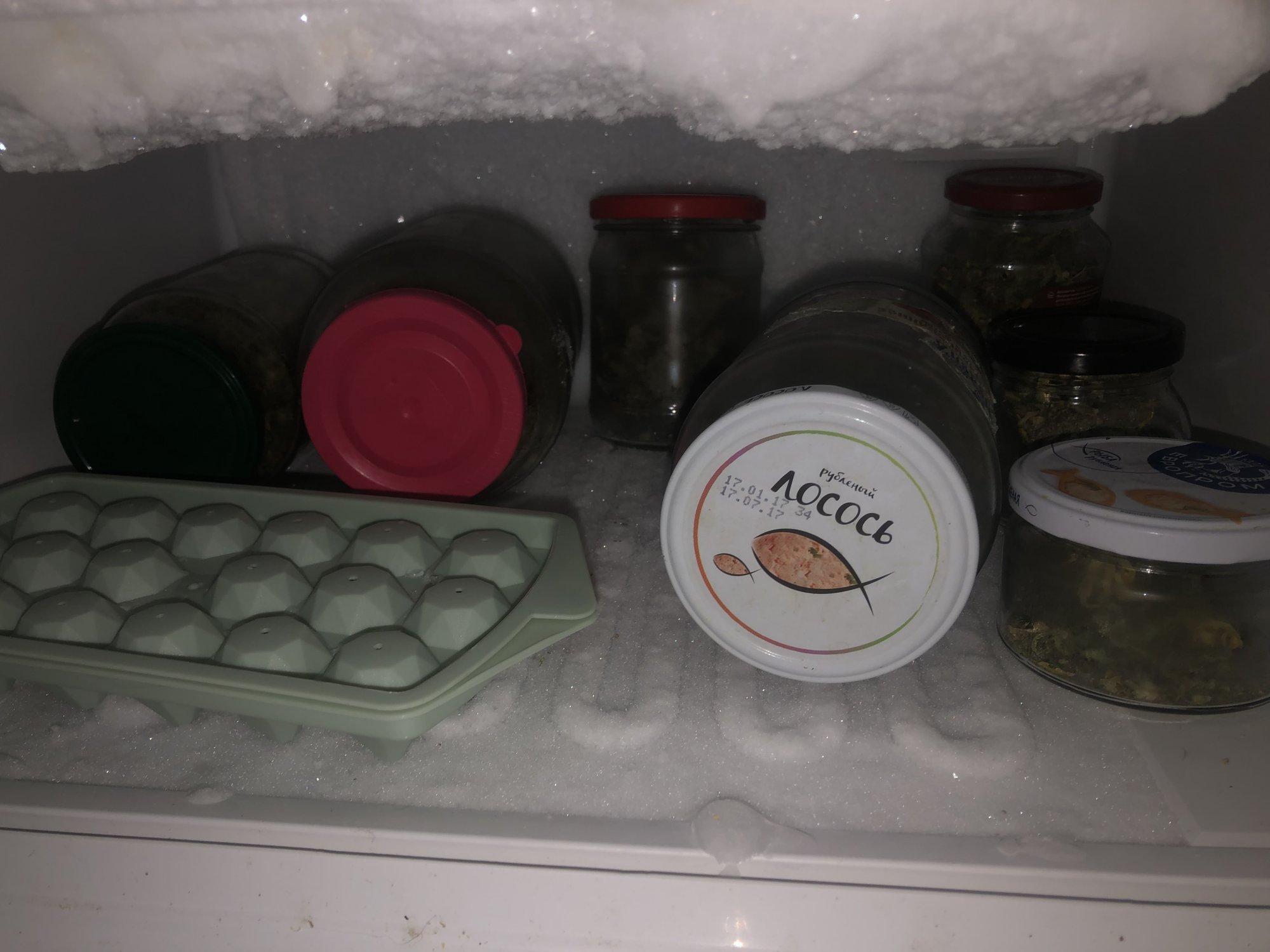 435FBA88-0595-4A80-A314-093FB752C468.jpeg 435FBA88-0595-4A80-A314-093FB752C468.jpeg