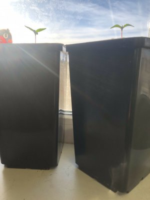 348ADE4E-0540-4B3B-A35F-12890BE3BA20.jpeg 348ADE4E-0540-4B3B-A35F-12890BE3BA20.jpeg