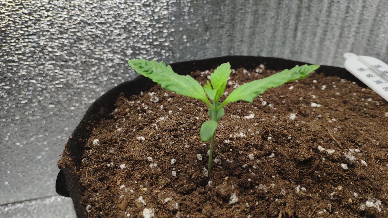 9 photo_2023-02-17_16-06-19.jpg 9 photo_2023-02-17_16-06-19.jpg