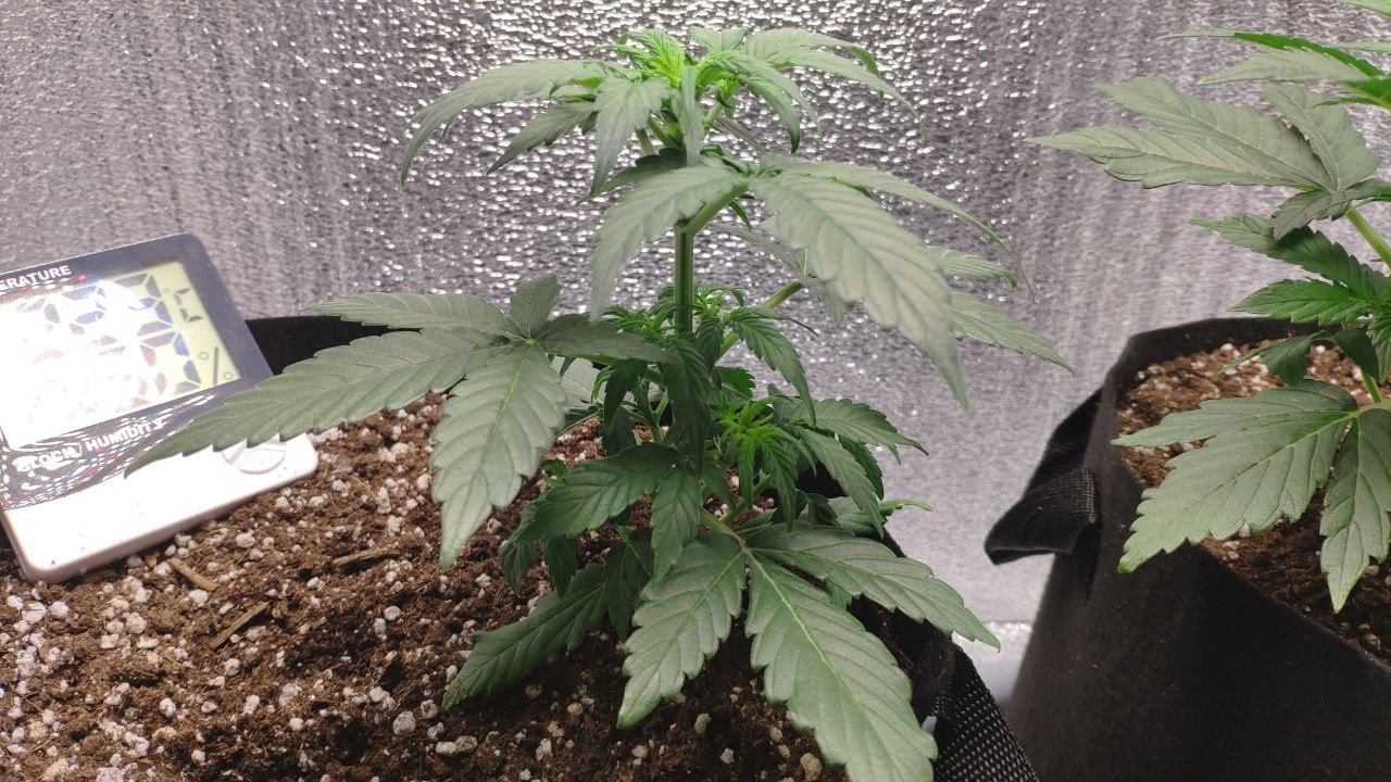 21 photo_2023-02-17_16-41-21.jpg 21 photo_2023-02-17_16-41-21.jpg