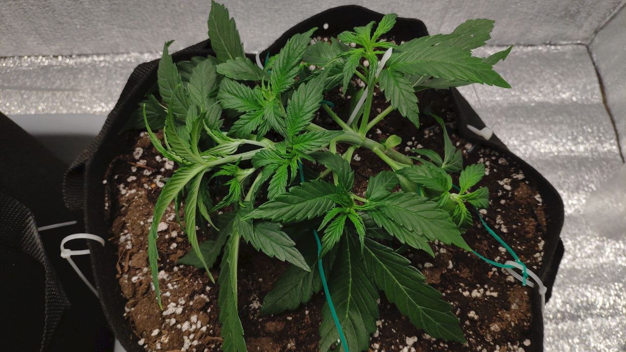 22 photo_2023-02-17_16-57-04.jpg 22 photo_2023-02-17_16-57-04.jpg