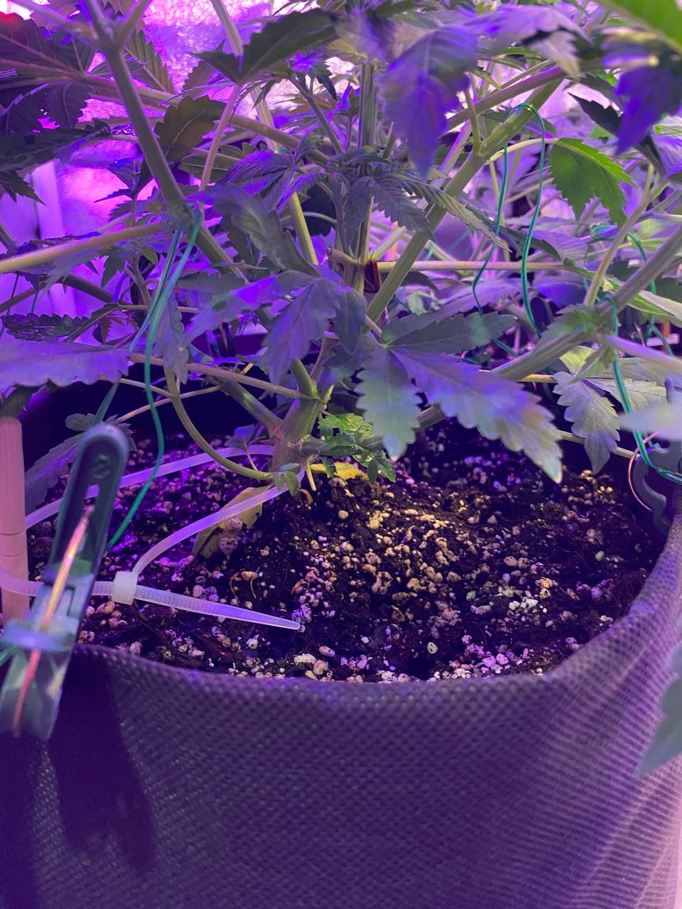 photo1676739698 (1).jpeg photo1676739698 (1).jpeg