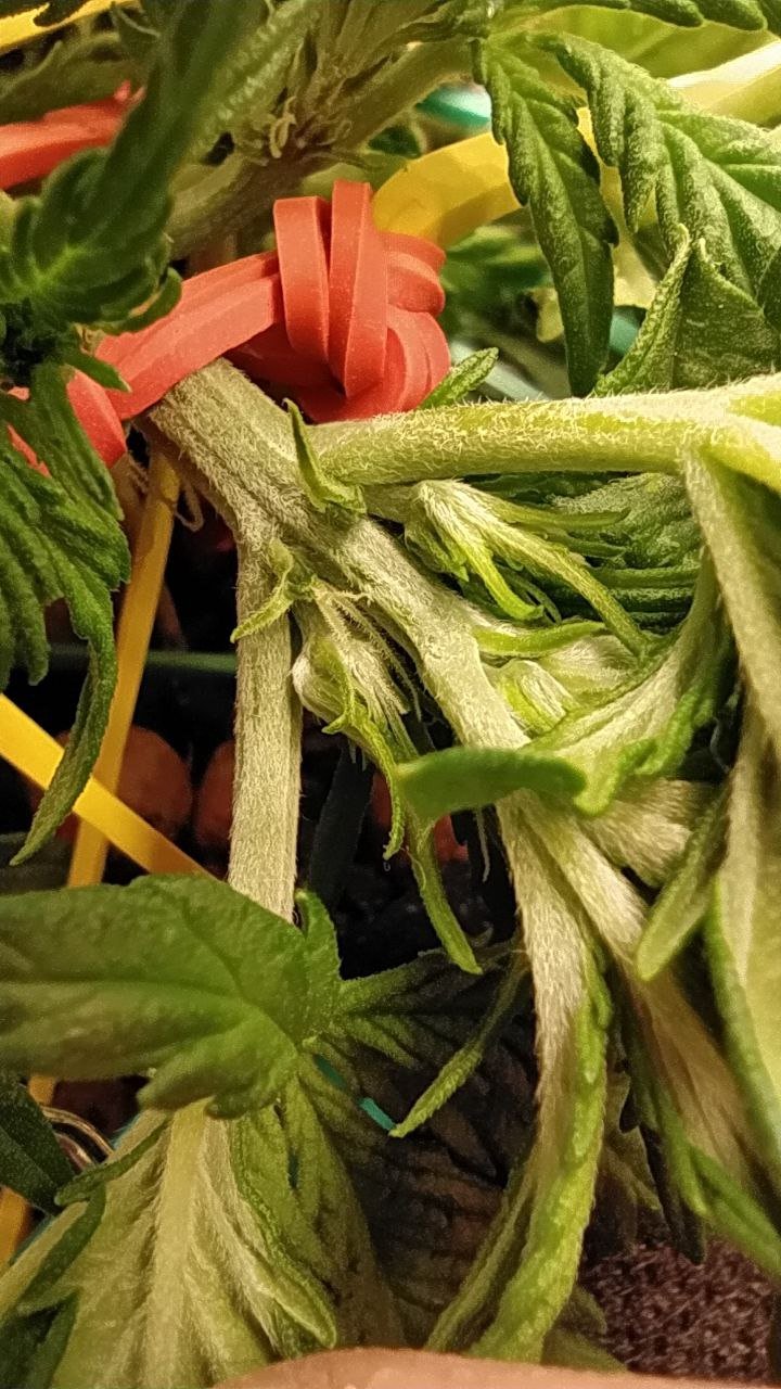 photo_2023-02-27_17-29-02.jpg photo_2023-02-27_17-29-02.jpg