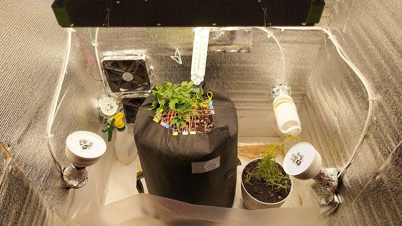 photo_2023-02-27_17-29-03.jpg photo_2023-02-27_17-29-03.jpg