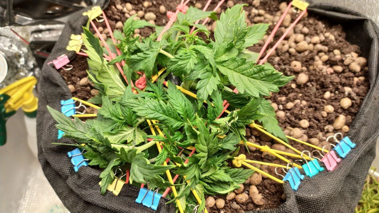 photo_2023-02-28_21-46-43.jpg photo_2023-02-28_21-46-43.jpg