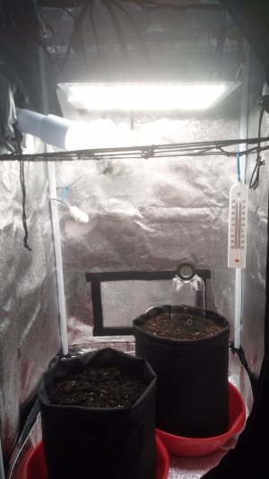 01.03.23.jpg 01.03.23.jpg