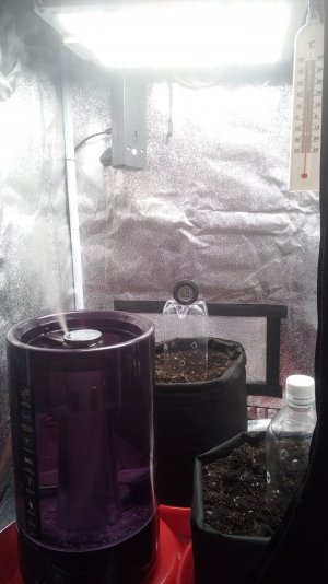 02.03.23 (2).jpg 02.03.23 (2).jpg