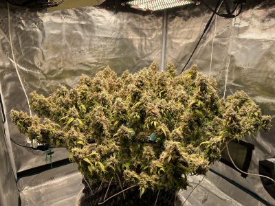 862B3B57-5F17-4CA8-B11B-757C52650249.jpeg 862B3B57-5F17-4CA8-B11B-757C52650249.jpeg