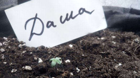 04.03.23 (2).jpg 04.03.23 (2).jpg