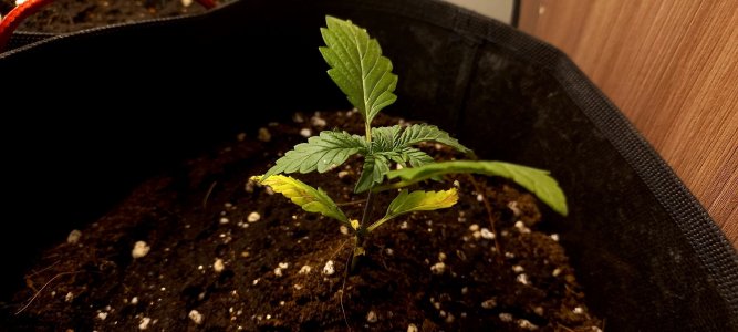 Fb3KQZxcno4.jpg Fb3KQZxcno4.jpg