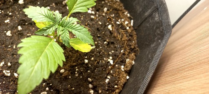 zlbHDaRIR3Y.jpg zlbHDaRIR3Y.jpg