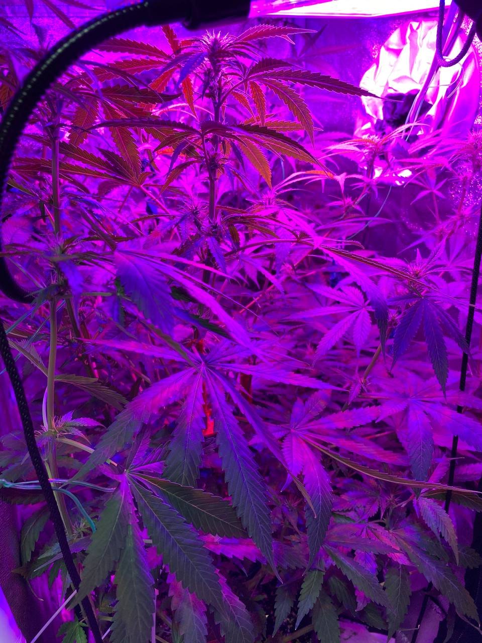 photo1678098168 (1).jpeg