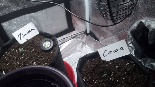 06.03.23 (1).jpg 06.03.23 (1).jpg