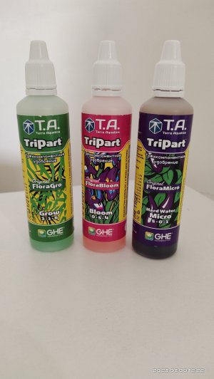 IMG_20230309_122225.jpg IMG_20230309_122225.jpg