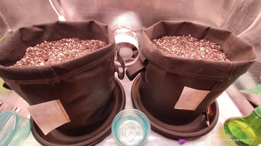 IMG_20230205_171134.jpg IMG_20230205_171134.jpg