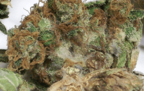 1678466870246.png 1678466870246.png