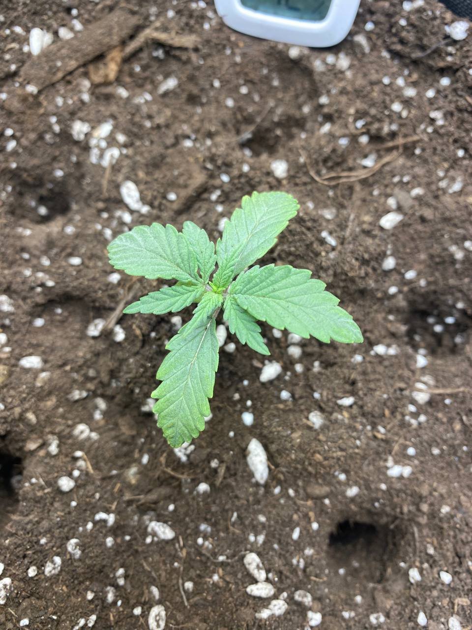 photo_5222062440001423136_y.jpg photo_5222062440001423136_y.jpg