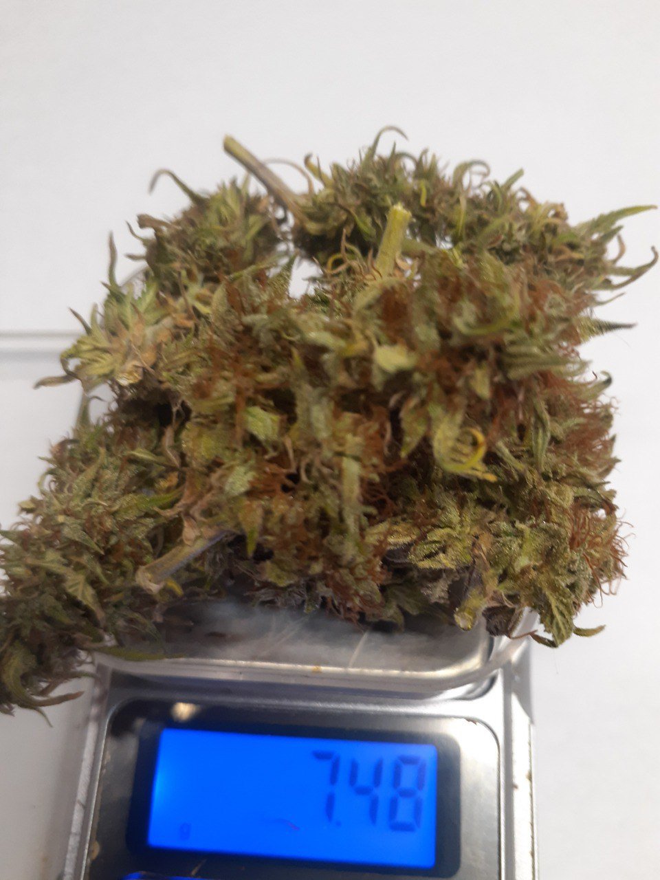 photo_2023-03-13_18-16-52 (2).jpg