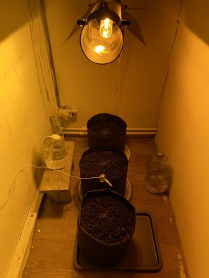 3AB0B17C-7730-4969-B1A6-5A47DE186D0A.jpeg 3AB0B17C-7730-4969-B1A6-5A47DE186D0A.jpeg