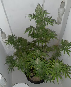 20230317_143530.jpg 20230317_143530.jpg