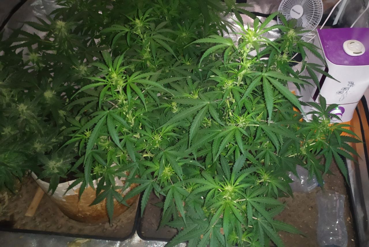 photo_2023-03-17_16-15-25.jpg photo_2023-03-17_16-15-25.jpg