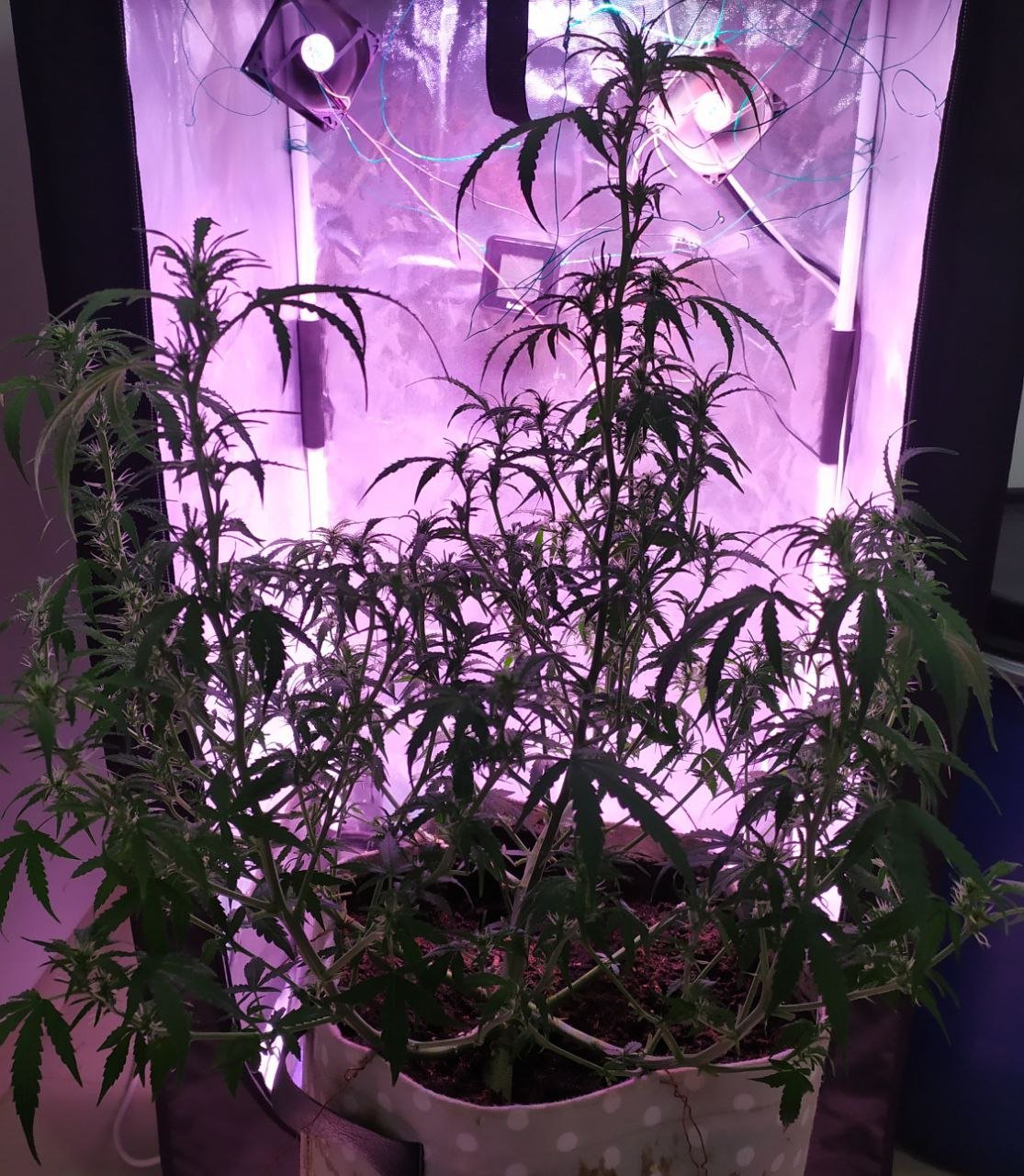 photo_2023-03-17_16-15-24 (2).jpg photo_2023-03-17_16-15-24 (2).jpg