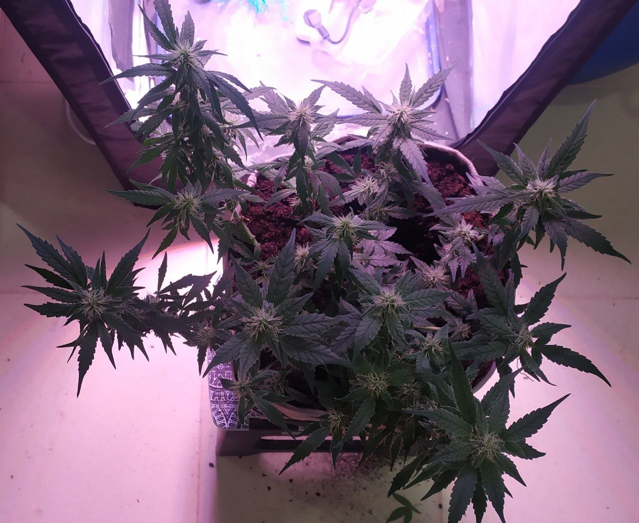 photo_2023-03-17_16-15-23 (2).jpg photo_2023-03-17_16-15-23 (2).jpg