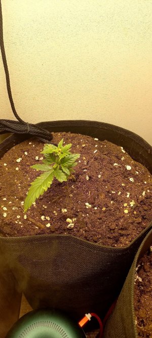 xqcMgPwB-5o.jpg xqcMgPwB-5o.jpg