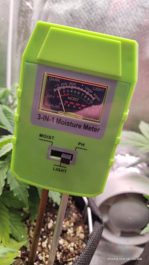 IMG_20230318_104955.jpg IMG_20230318_104955.jpg