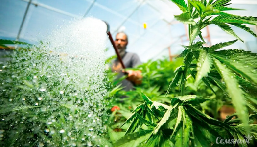 1679132772270.png 1679132772270.png