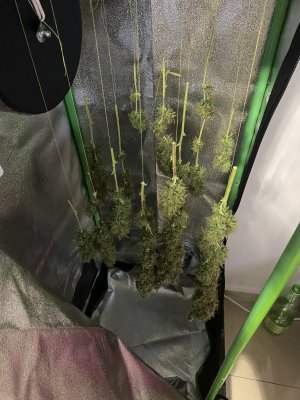 B28CDD9B-A491-4D42-8198-8BAAD320B7C3.jpeg B28CDD9B-A491-4D42-8198-8BAAD320B7C3.jpeg