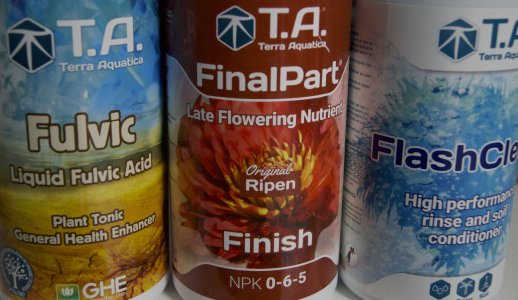 Стимы ГХЕ.jpg