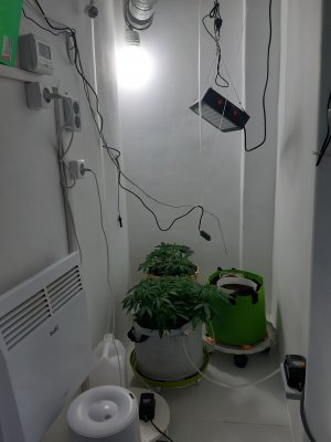 20230319_092958.jpg 20230319_092958.jpg