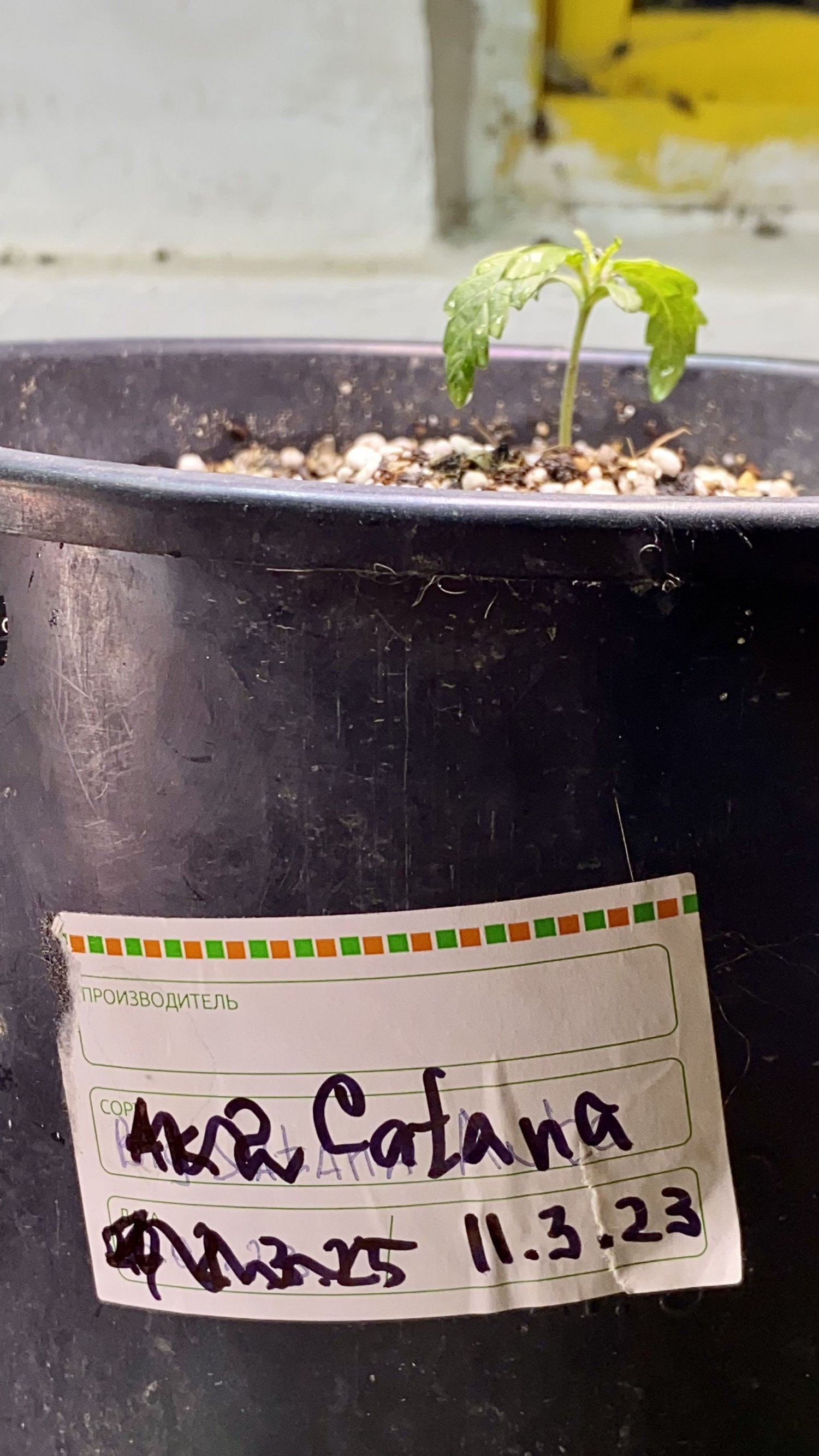 F00AE4C4-C690-47D5-9FD0-63CD0027F9F8.jpeg F00AE4C4-C690-47D5-9FD0-63CD0027F9F8.jpeg