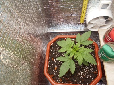 DSCN0464.JPG DSCN0464.JPG