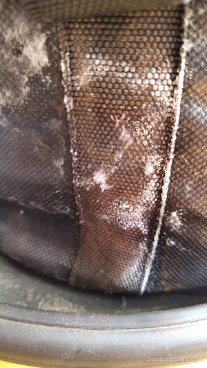 IMG_20230322_193101.jpg IMG_20230322_193101.jpg