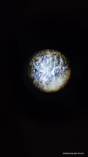 IMG_20230322_210452.jpg IMG_20230322_210452.jpg